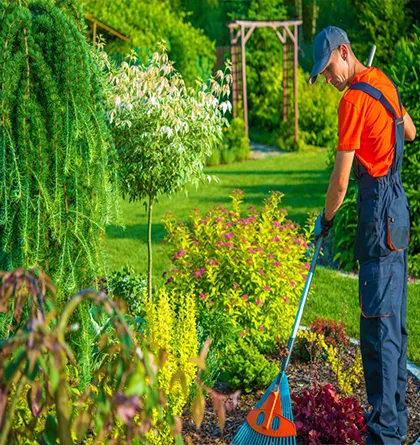 Manutenção de Jardim de Residência