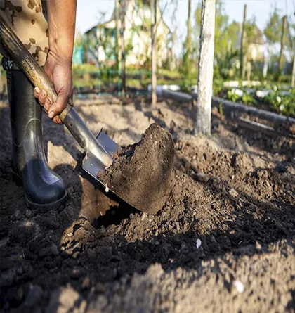 Preparação de Solo de Jardim